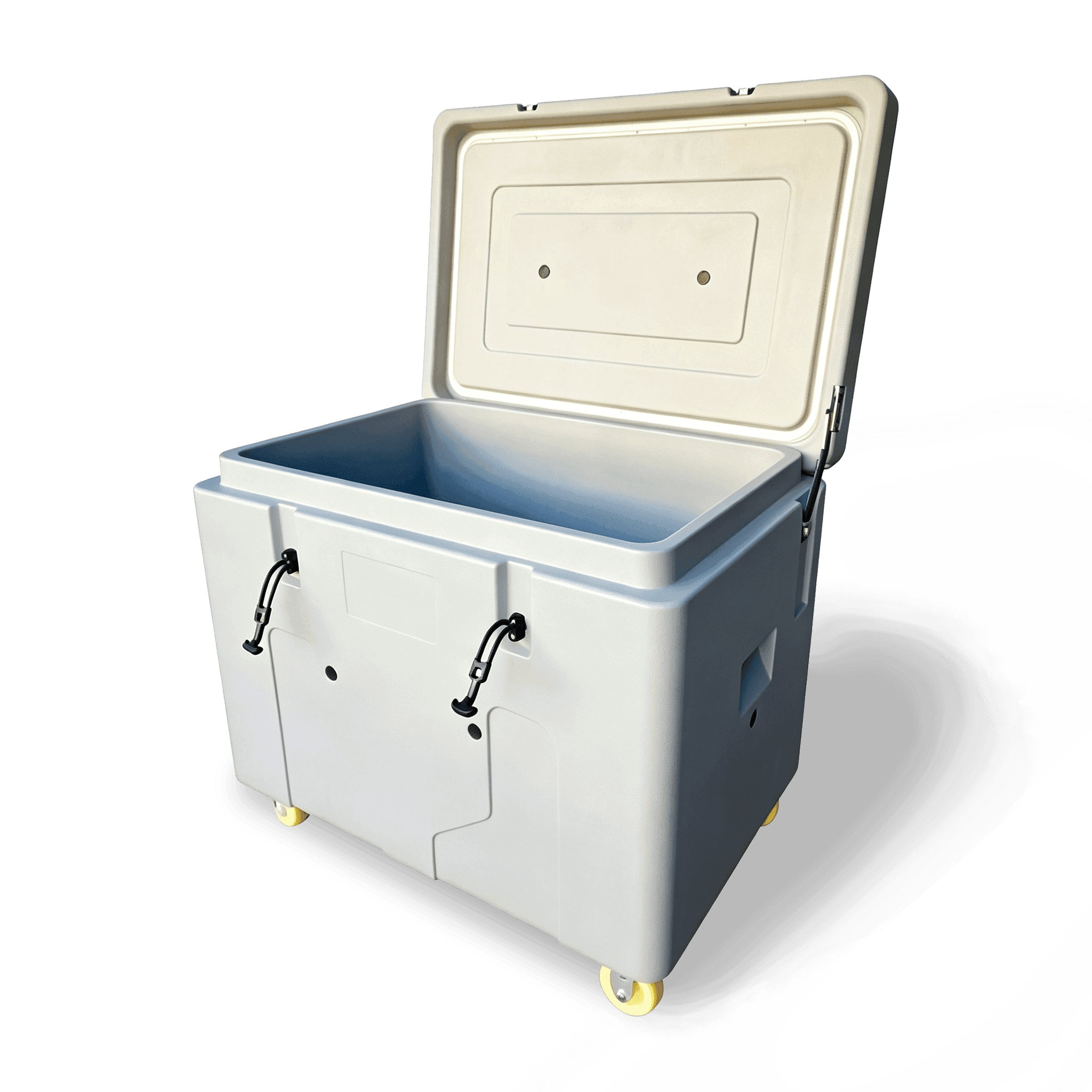 IC500 Dry Ice Cooler